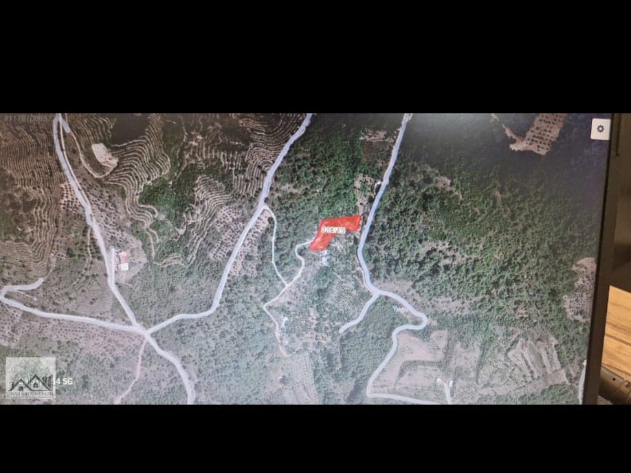 Çınar Gayrimenkul